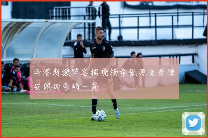 海港新援阵容揭晓杨希张源克劳德安佩姆号码一览