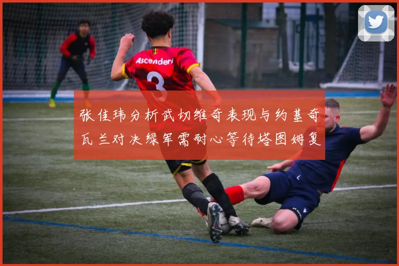 张佳玮分析武切维奇表现与约基奇瓦兰对决绿军需耐心等待塔图姆复出